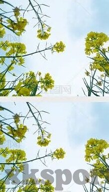 澳彩足球比分直播-澳彩足球比分直播，实时掌握绿茵风云，畅享足球激情盛宴